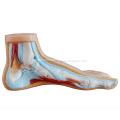 /msite/products/detail/productid/57018348/id/666382.html